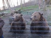 Medvědí bráškové z večerníčků slavili 16. narozeniny