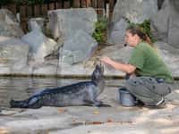 Změny v zoo