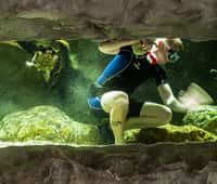 Potápěči v zoo aneb Jak probíhá údržba velkých akvárií