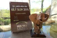 Zoo Brno zvítězila v soutěži o odchov roku Bílý slon 2016