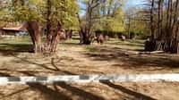 Velbloudy v Zoo Brno dělí nově od návštěvníků jen úzký příkop