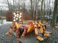 Obří pavouk v zoo