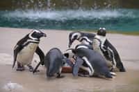 Proč v roce 2018 zavítat do ústecké zoo?