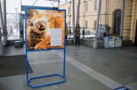 Zoo Ostrava vystavuje na vybraných nádražích v kraji