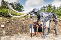 Mamut v Zoo Ostrava