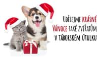 Podpořte Obrácený adventní kalendář v táborské zoo