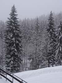 Další snowboardové a lyžařské zdokonalování