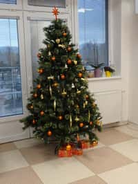 Adventní dopoledne v Domově seniorů TGM