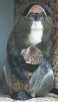 Zoo Ústí nad Labem - nové přírůstky