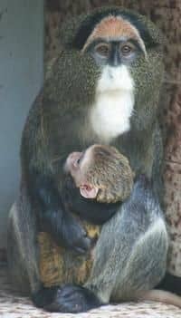 Zoo Ústí nad Labem - nové přírůstky