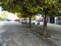 Podzimní prázdniny