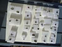 Návštěva Muzea Českého krasu