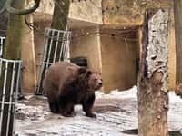 Kuba se nás dočkal