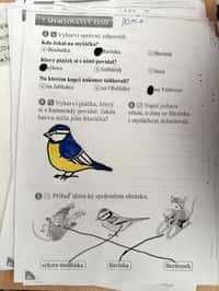 Světový den mokřadů