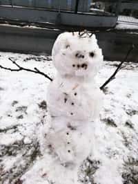 A máme tu pololetní prázdniny