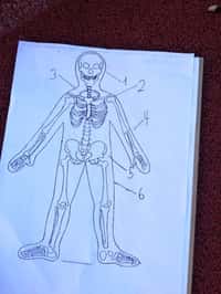 Světový den zdraví v družině