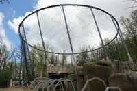 Expozice klokanů, orlů a Kalahari zatraktivní zoo