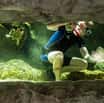 Potápěči v zoo aneb Jak probíhá údržba velkých akvárií