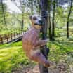 V zoo je k vidění obří lemur