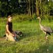 Na Osoblažsku létá jeřáb s vysílačkou ze Zoo Ostrava!