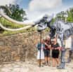 Mamut v Zoo Ostrava