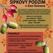 Šípkový podzim v Zoo Ostrava