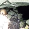 Děti z družiny pečují o studánku