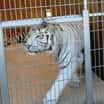 Návštěva ZOO parku Karlštejn