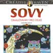 Sovy - omalovánky pro velké