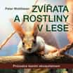 Zvířata a rostliny v lese