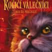 Kočičí válečníci (4) - Bouře přichází