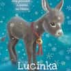 Lucinka a kouzelný oslík