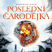 Poslední čarodějka – Mlžné kameny