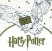 Harry Potter: Mudlovské omalovánky