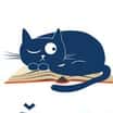 Soutěž o krásnou knihu Buď cool jako kočka