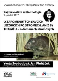 O damanech stromových