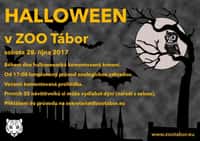ZOO Tábor oslaví Halloween lampionovým průvodem