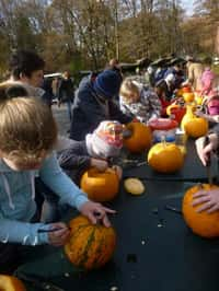 Halloween a lampionový průvod v zoo