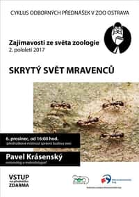 Přednáška v zoo: Skrytý svět mravenců