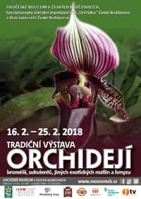 Výstava orchidejí, bromélií, sukulentů