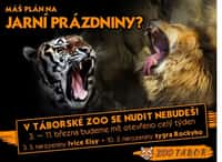 Užijte si jarní prázdniny v táborské zoologické