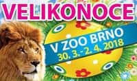 Velikonoce v Zoo Brno