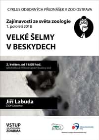 Pozvánka na přednášku: Velké šelmy v Beskydech