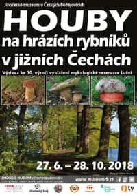 Houby na hrázích rybníků v jižních Čechách