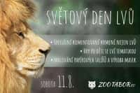 ZOO Tábor věnuje sobotu Světovému dni lvů