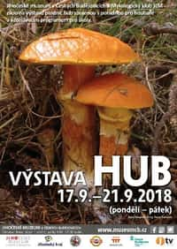 Výstava hub