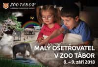 Staňte se malým ošetřovatelem v táborské zoo