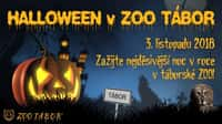 Halloween v ZOO Tábor