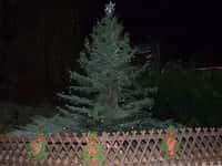 Advent v zoo