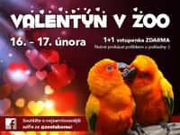 Valentýn v zoo